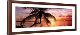 Palm Paradise at Sunset - Florida - USA-Philippe Hugonnard-Framed Photographic Print