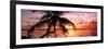 Palm Paradise at Sunset - Florida - USA-Philippe Hugonnard-Framed Photographic Print