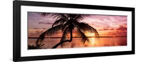 Palm Paradise at Sunset - Florida - USA-Philippe Hugonnard-Framed Photographic Print