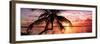 Palm Paradise at Sunset - Florida - USA-Philippe Hugonnard-Framed Photographic Print