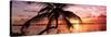 Palm Paradise at Sunset - Florida - USA-Philippe Hugonnard-Stretched Canvas