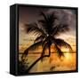 Palm Paradise at Sunset - Florida - USA-Philippe Hugonnard-Framed Stretched Canvas