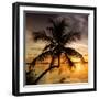 Palm Paradise at Sunset - Florida - USA-Philippe Hugonnard-Framed Photographic Print