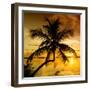 Palm Paradise at Sunset - Florida - USA-Philippe Hugonnard-Framed Photographic Print