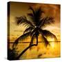 Palm Paradise at Sunset - Florida - USA-Philippe Hugonnard-Stretched Canvas