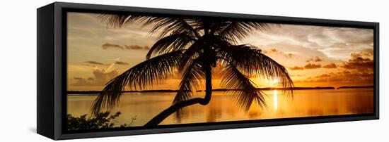 Palm Paradise at Sunset - Florida - USA-Philippe Hugonnard-Framed Stretched Canvas
