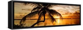 Palm Paradise at Sunset - Florida - USA-Philippe Hugonnard-Framed Stretched Canvas
