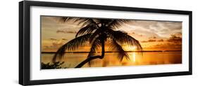 Palm Paradise at Sunset - Florida - USA-Philippe Hugonnard-Framed Photographic Print