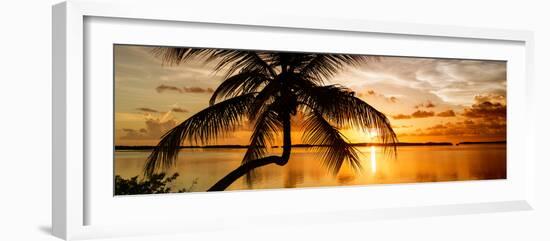 Palm Paradise at Sunset - Florida - USA-Philippe Hugonnard-Framed Photographic Print