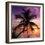 Palm Paradise at Sunset - Florida - USA-Philippe Hugonnard-Framed Photographic Print