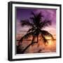 Palm Paradise at Sunset - Florida - USA-Philippe Hugonnard-Framed Photographic Print