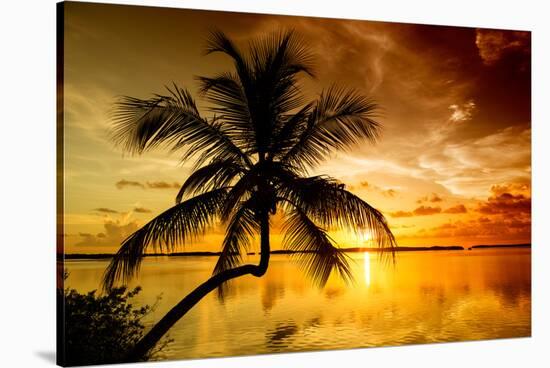 Palm Paradise at Sunset - Florida - USA-Philippe Hugonnard-Stretched Canvas