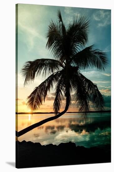 Palm Paradise at Sunset - Florida - USA-Philippe Hugonnard-Stretched Canvas