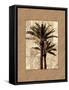 Palm Paradise II-John Seba-Framed Stretched Canvas