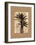 Palm Paradise II-John Seba-Framed Art Print