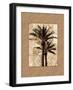 Palm Paradise II-John Seba-Framed Art Print