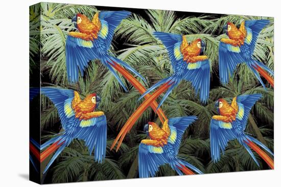 Palm Parrot-James Mazzotta-Stretched Canvas