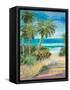 Palm Path-Jane Slivka-Framed Stretched Canvas