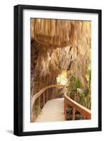 Palm Pathway I-Karyn Millet-Framed Photographic Print