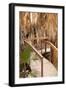 Palm Pathway II-Karyn Millet-Framed Photographic Print