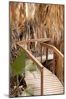 Palm Pathway II-Karyn Millet-Mounted Photographic Print