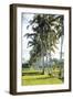 Palm Pathway-Joseph Eta-Framed Giclee Print