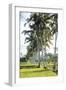 Palm Pathway-Joseph Eta-Framed Giclee Print