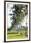 Palm Pathway-Joseph Eta-Framed Giclee Print