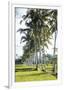 Palm Pathway-Joseph Eta-Framed Giclee Print