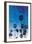 Palm Peach Night Blue-Milli Villa-Framed Photo