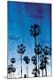 Palm Peach Night Blue-Milli Villa-Mounted Photo