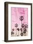 Palm Peach-Milli Villa-Framed Photo