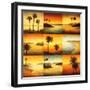 Palm Perspectives-Gregory Williams-Framed Art Print