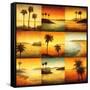 Palm Perspectives-Gregory Williams-Framed Stretched Canvas