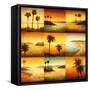 Palm Perspectives-Gregory Williams-Framed Stretched Canvas