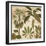 Palm Persuasion II-Chris Donovan-Framed Art Print