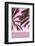 Palm Pink_001-1x Studio III-Framed Photographic Print