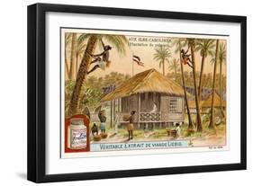 Palm Plantation, Caroline Islands-null-Framed Giclee Print