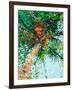 Palm Reflection II-Margaret Juul-Framed Art Print