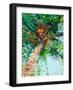 Palm Reflection II-Margaret Juul-Framed Art Print