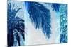 Palm Resort II-Charlie Carter-Mounted Art Print