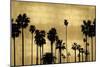 Palm Row on Gold-Kate Bennett-Mounted Art Print