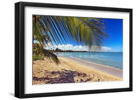 Palm Shadow II-George Oze-Framed Photographic Print