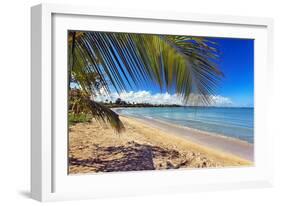 Palm Shadow II-George Oze-Framed Photographic Print