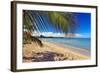 Palm Shadow II-George Oze-Framed Photographic Print