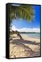 Palm Shadow, Loiza, Puerto Rico-George Oze-Framed Stretched Canvas