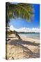 Palm Shadow, Loiza, Puerto Rico-George Oze-Stretched Canvas