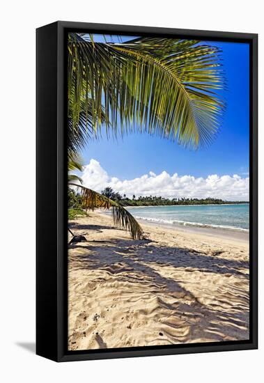 Palm Shadow, Loiza, Puerto Rico-George Oze-Framed Stretched Canvas