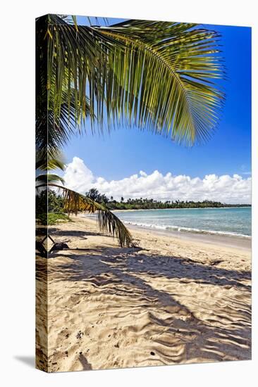 Palm Shadow, Loiza, Puerto Rico-George Oze-Stretched Canvas