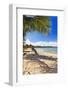 Palm Shadow, Loiza, Puerto Rico-George Oze-Framed Photographic Print